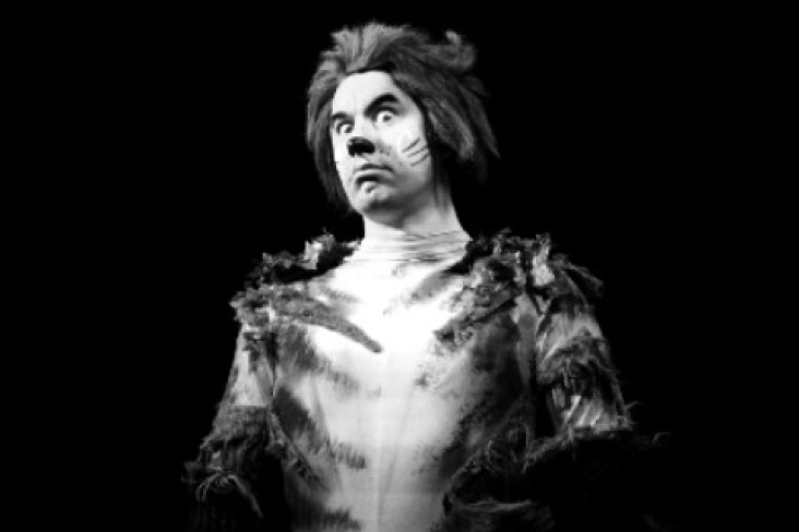Social Banner- Cat The Play