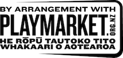 Playmarket logo
