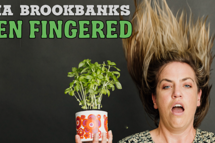Donna Brookbanks - Hero Image