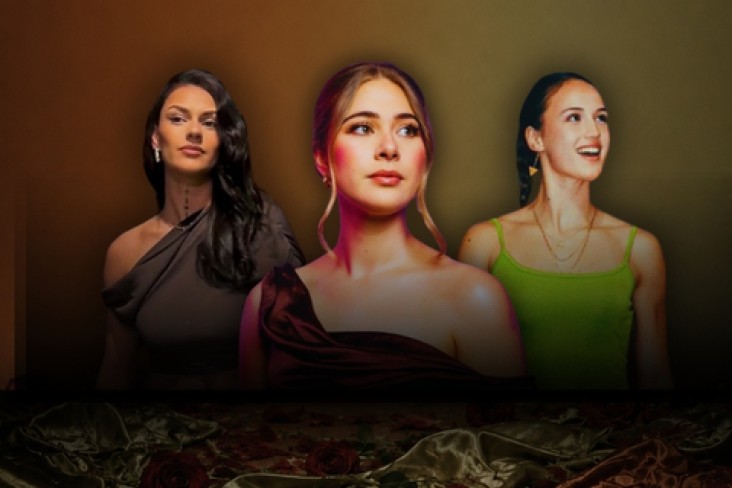 Silk and Soul mobile banner